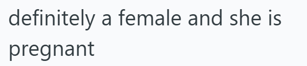 definitely a female and she is pregnant