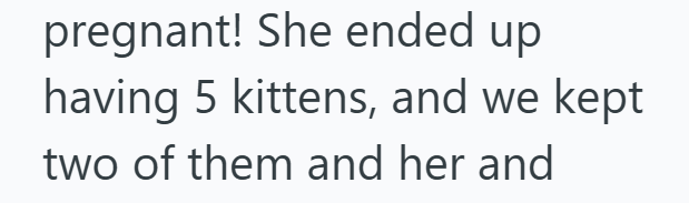 pregnant! She ended up having 5 kittens, and we kept two of them and her and