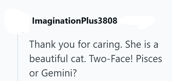 ImaginationPlus3808 Thank you for caring. She is a beautiful cat. Two-Face! Pisces or Gemini?