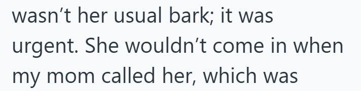 wasn't her usual bark; it was urgent. She wouldn't come in when my mom called her, which was