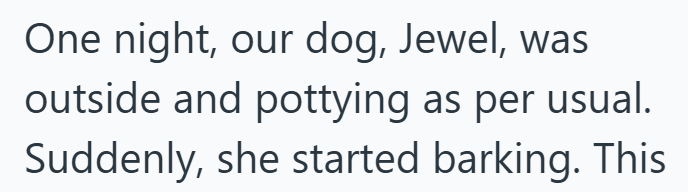 One night, our dog, Jewel, was outside and pottying as per usual. Suddenly, she started barking. This