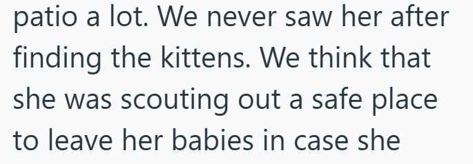 patio a lot. We never saw her after finding the kittens. We think that she was scouting out a safe place to leave her babies in case she