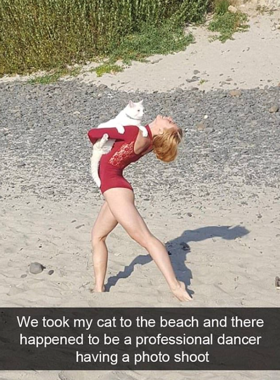 We took my cat to the beach and there happened to be a professional dancer having a photo shoot
