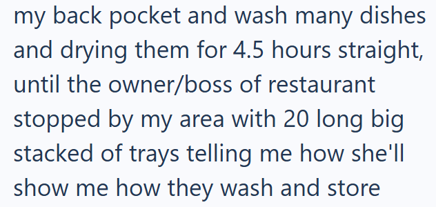 my back pocket and wash many dishes and drying them for 4.5 hours straight, until the owner/boss of restaurant stopped by my area with 20 long big stacked of trays telling me how she'll show me how they wash and store