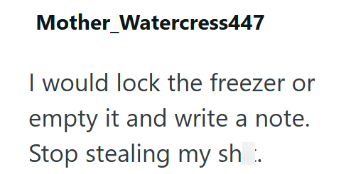 Mother_Watercress447 I would lock the freezer or empty it and write a note. Stop stealing my sh.