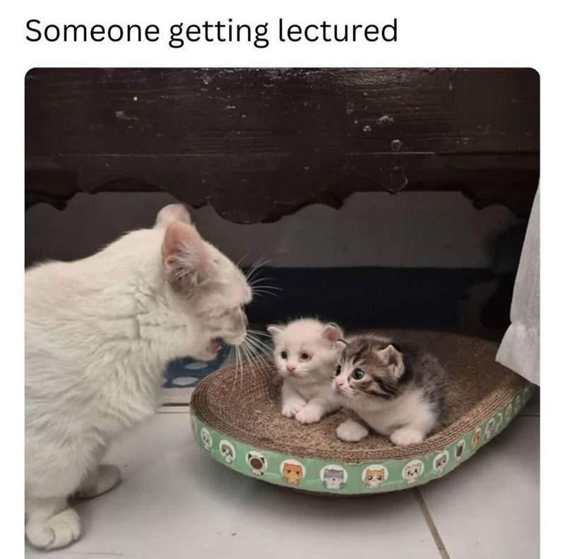 Someone getting lectured