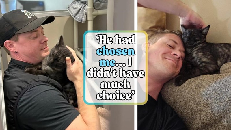 He had chosen me...] didn't have much choice'