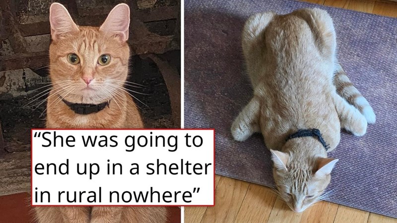 "She was going to end up in a shelter in rural nowhere"