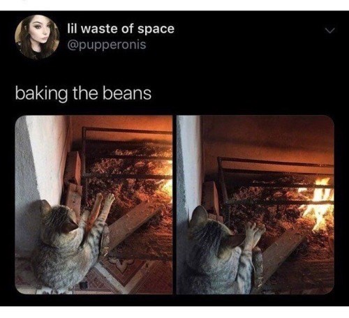 lil waste of space @pupperonis baking the beans