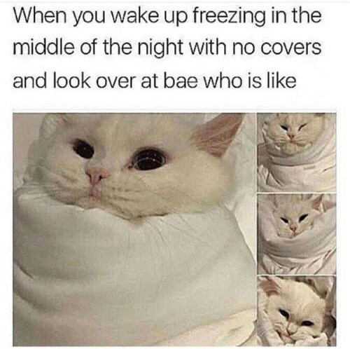 When you wake up freezing in the middle of the night with no covers and look over at bae who is like