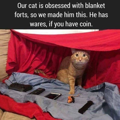 Our cat is obsessed with blanket forts, so we made him this. He has wares, if you have coin.
