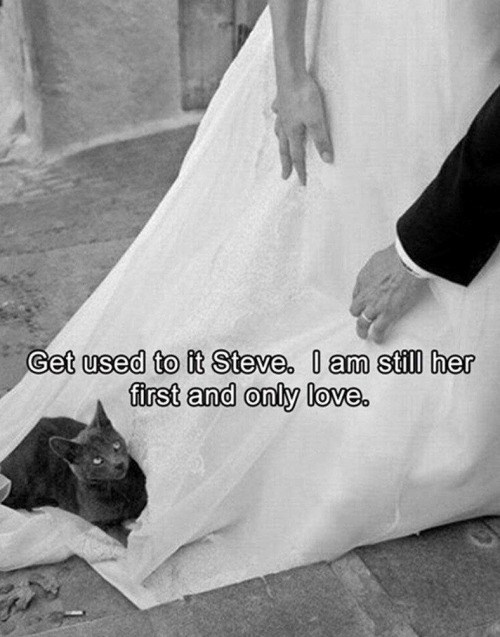 Get used to it Steve. I am still her first and only love.