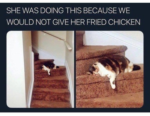 SHE WAS DOING THIS BECAUSE WE WOULD NOT GIVE HER FRIED CHICKEN