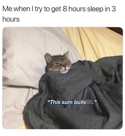 Me when I try to get 8 hours sleep in 3 hours "This sum bulls