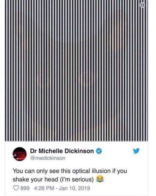 Dr Michelle Dickinson @medickinson You can only see this optical illusion if you shake your head (I'm serious) 899 4:28 PM - Jan 10, 2019
