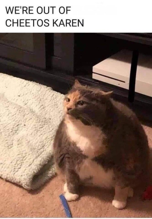 WE'RE OUT OF CHEETOS KAREN