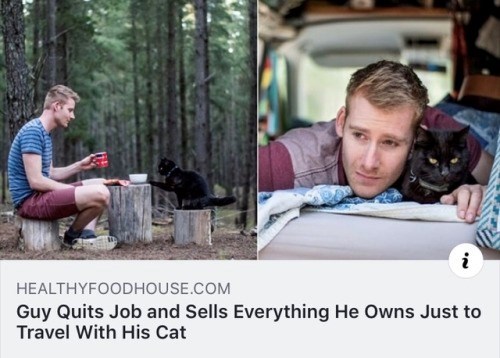 i HEALTHYFOODHOUSE.COM Guy Quits Job and Sells Everything He Owns Just to Travel With His Cat
