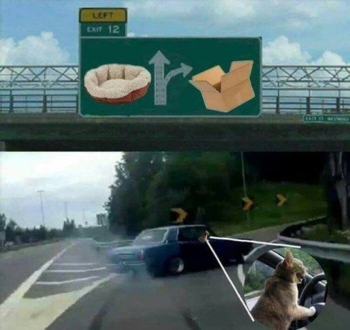 LEFT EXIT 12