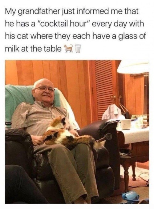 My grandfather just informed me that he has a "cocktail hour" every day with his cat where they each have a glass of milk at the table