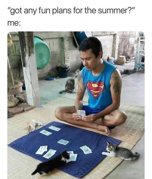 "got any fun plans for the summer?" me: