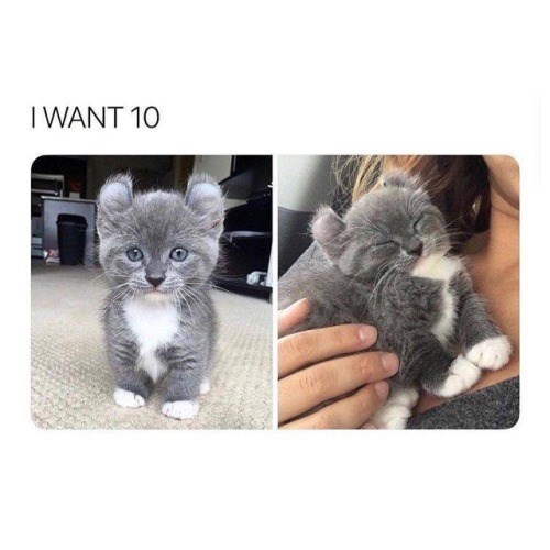 I WANT 10
