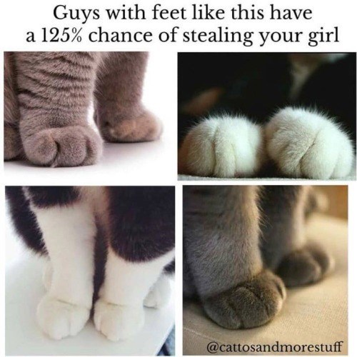 Guys with feet like this have a 125% chance of stealing your girl @cattosandmorestuff