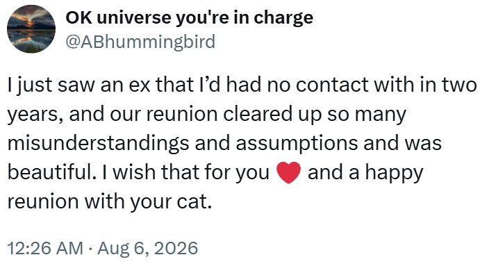 OK universe you're in charge @ABhummingbird I just saw an ex that I'd had no contact with in two years, and our reunion cleared up so many misunderstandings and assumptions and was beautiful. I wish that for you and a happy reunion with your cat. 12:26 AM • Aug 6, 2026