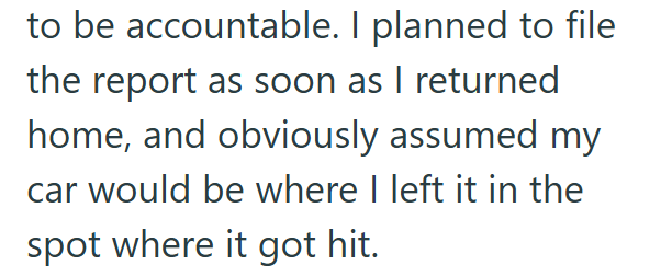 to be accountable. I planned to file the report as soon as I returned home, and obviously assumed my car would be where I left it in the spot where it got hit.
