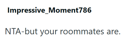 Impressive Moment786 NTA-but your roommates are.
