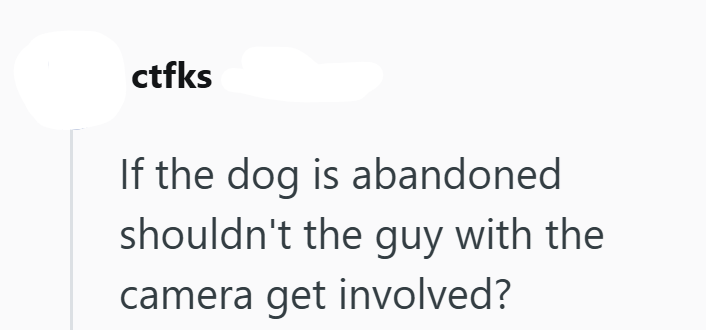 ctfks If the dog is abandoned shouldn't the guy with the camera get involved?