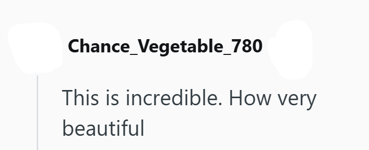 Chance_Vegetable_780 This is incredible. How very beautiful