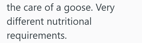 the care of a goose. Very different nutritional requirements.