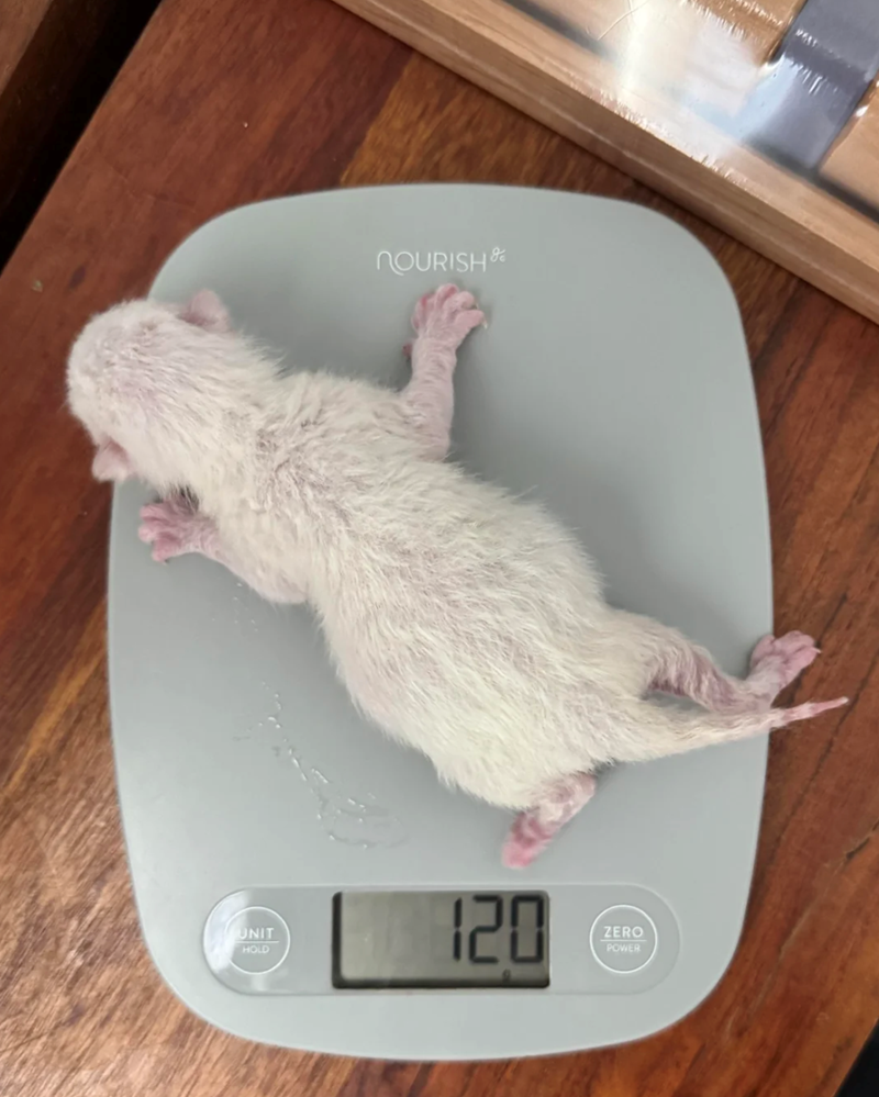 UNIT HOLD NOURISH 120 ZERO POWER