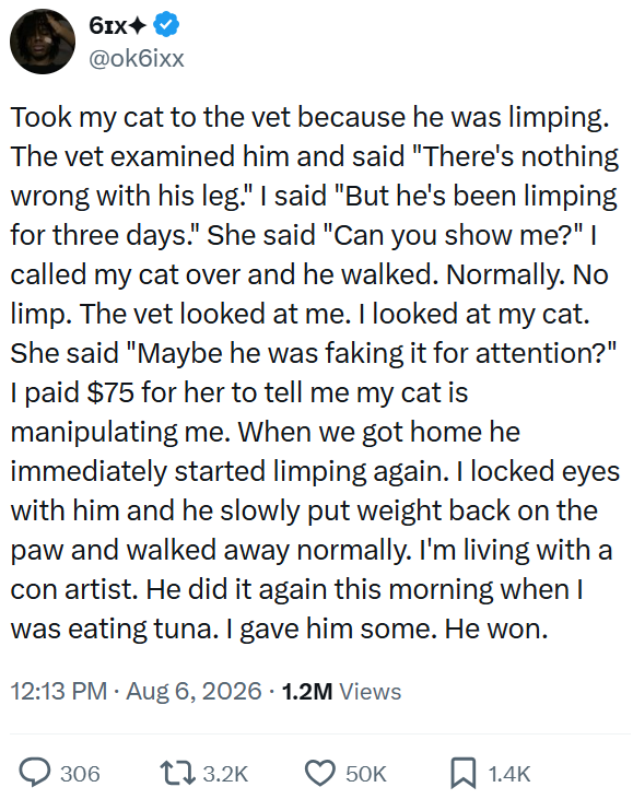 6IX◆ @ok6ixx Took my cat to the vet because he was limping. The vet examined him and said "There's nothing wrong with his leg." I said "But he's been limping for three days." She said "Can you show me?" I called my cat over and he walked. Normally. No limp. The vet looked at me. I looked at my cat. She said "Maybe he was faking it for attention?" I paid $75 for her to tell me my cat is manipulating me. When we got home he immediately started limping again. I locked eyes with him and he slowly pu