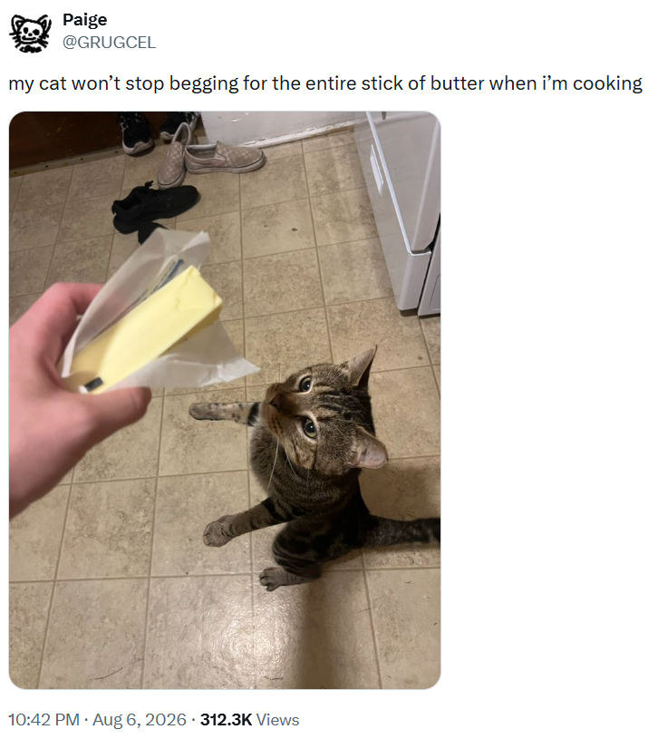Paige @GRUGCEL my cat won't stop begging for the entire stick of butter when i'm cooking • 10:42 PM • Aug 6, 2026 312.3K Views