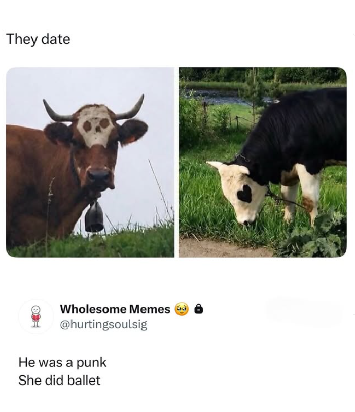 They date Wholesome Memes @hurtingsoulsig He was a punk She did ballet