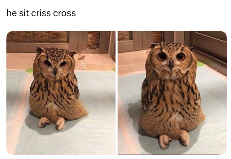he sit criss cross