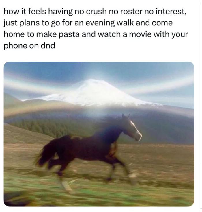 how it feels having no crush no roster no interest, just plans to go for an evening walk and come home to make pasta and watch a movie with your phone on dnd