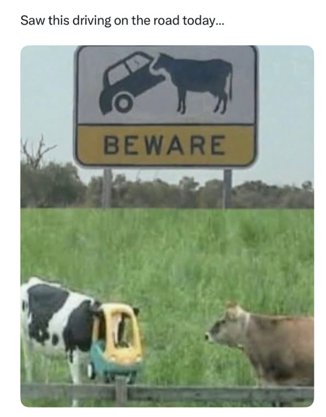 Saw this driving on the road today... BEWARE