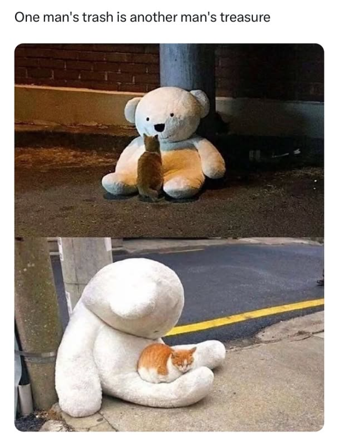 One man's trash is another man's treasure