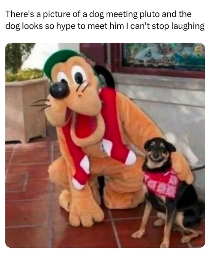 D There's a picture of a dog meeting pluto and the dog looks so hype to meet him I can't stop laughing