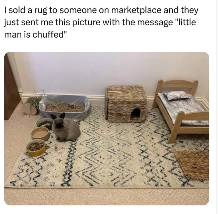 I sold a rug to someone on marketplace and they just sent me this picture with the message "little man is chuffed"