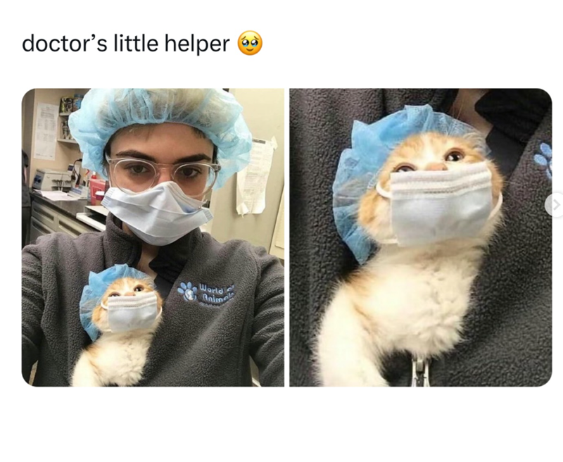 doctor's little helper World Anim