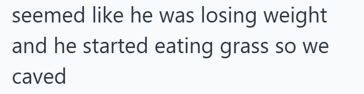 seemed like he was losing weight and he started eating grass so we caved