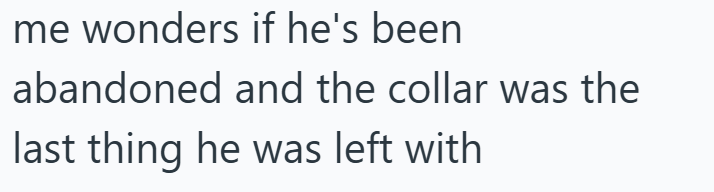 me wonders if he's been abandoned and the collar was the last thing he was left with