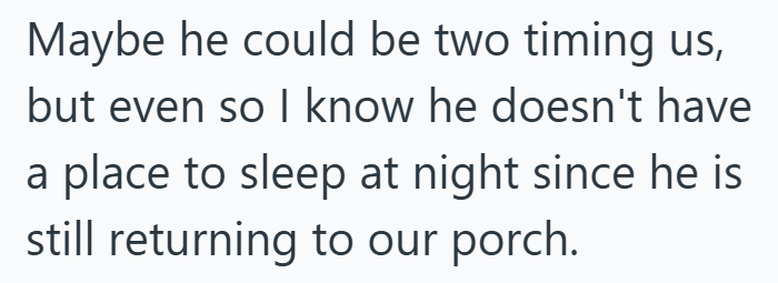 Maybe he could be two timing us, but even so I know he doesn't have a place to sleep at night since he is still returning to our porch.