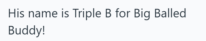 His name is Triple B for Big Balled Buddy!