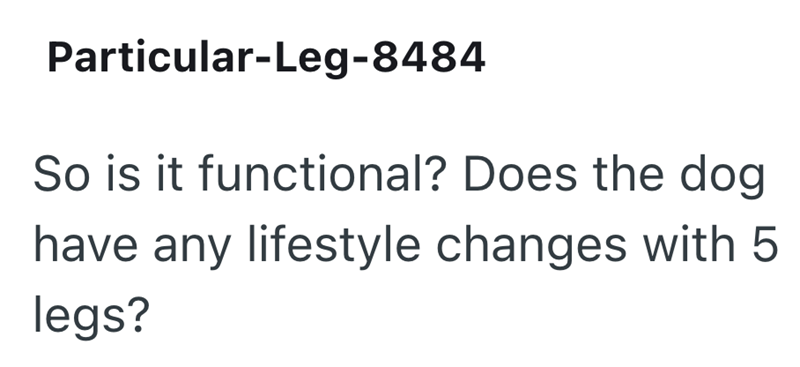 Particular-Leg-8484 So is it functional? Does the dog have any lifestyle changes with 5 legs?