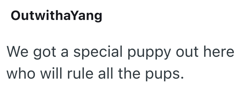 OutwithaYang We got a special puppy out here who will rule all the pups.