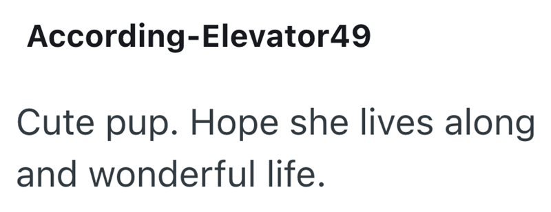 According-Elevator49 Cute pup. Hope she lives along and wonderful life.